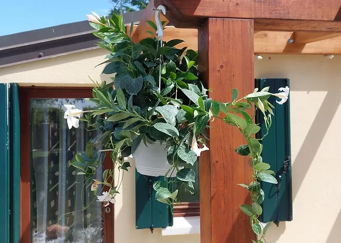 Ca' Svizzero 펜션 *