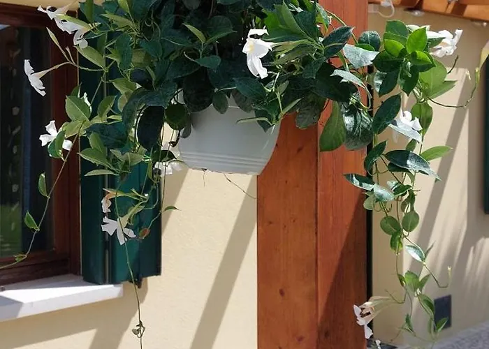 Tatil Evi Ca' Svizzero